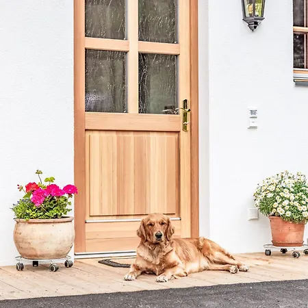 Glockner-2 By Interhome 木屋 *