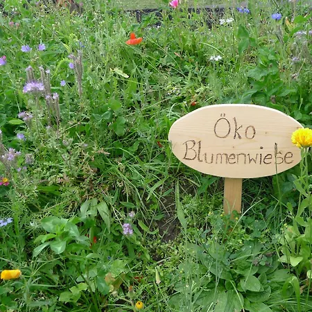 木屋 Glockner-2 By Interhome