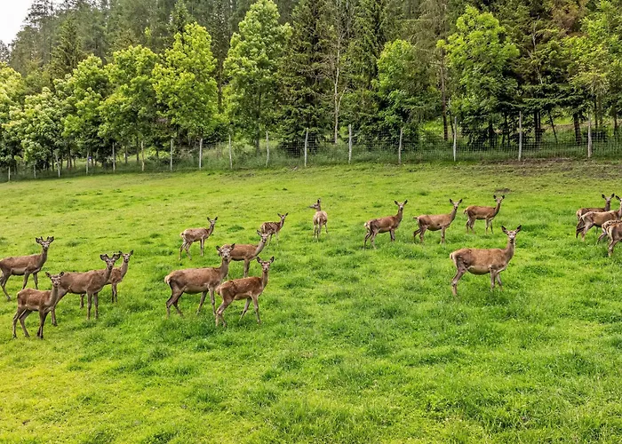 בקתה Glockner-2 By Interhome *