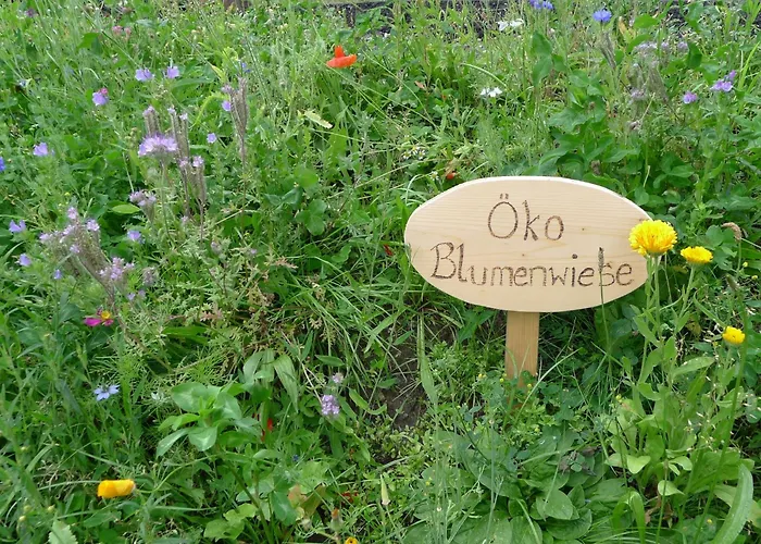 Alpesi faház Glockner-2 By Interhome