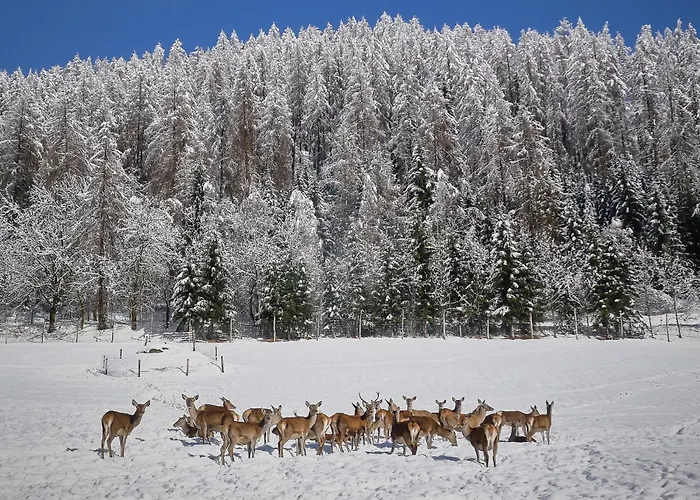 בקתה Glockner-2 By Interhome *